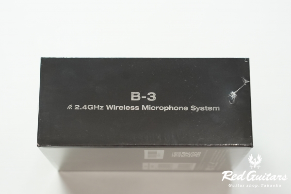 B-3 Wireless System